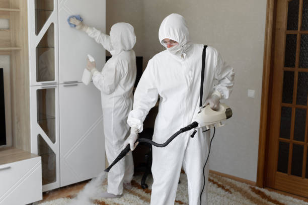 Best Mold Remediation  in Haslett, MI
