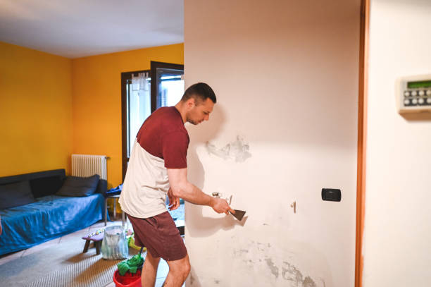 Best Emergency Mold Removal  in Haslett, MI